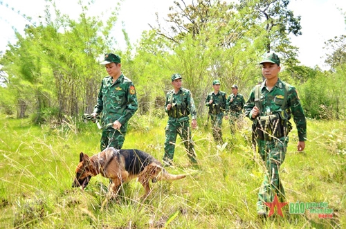 Bộ đội Biên phòng tỉnh Đắk Lắk tăng cường bảo vệ biên giới, địa bàn trong dịp lễ Quốc khánh 2-9